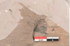 Foto (Detailansicht) von Zizyphus paradisiacus Unger (NHMW-GEO-2024-0188-8057b)